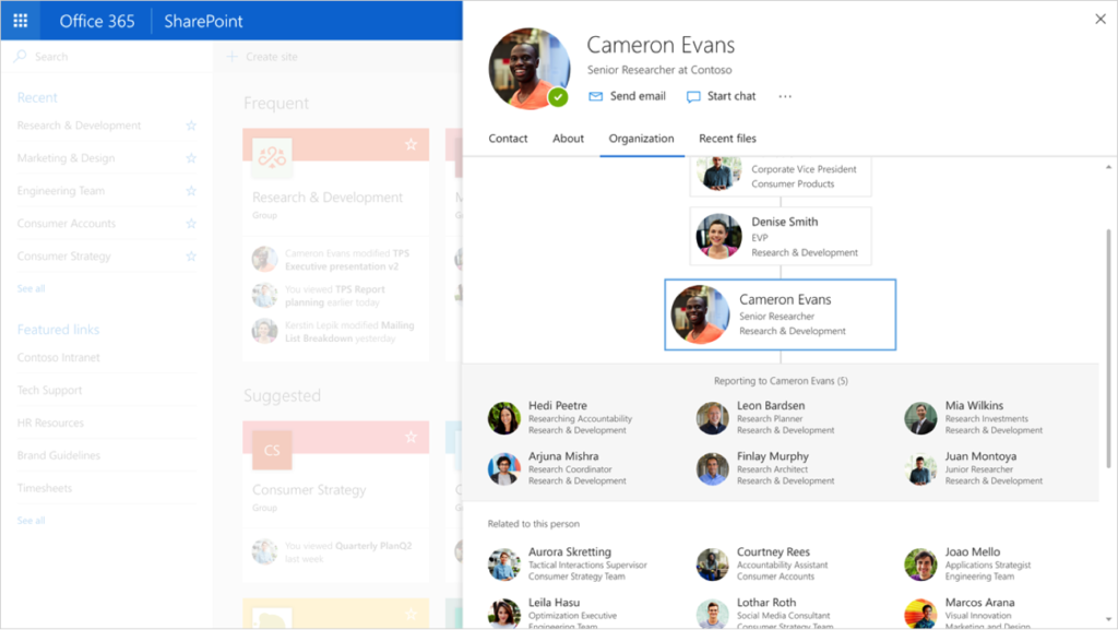 Profile cards on Office 365