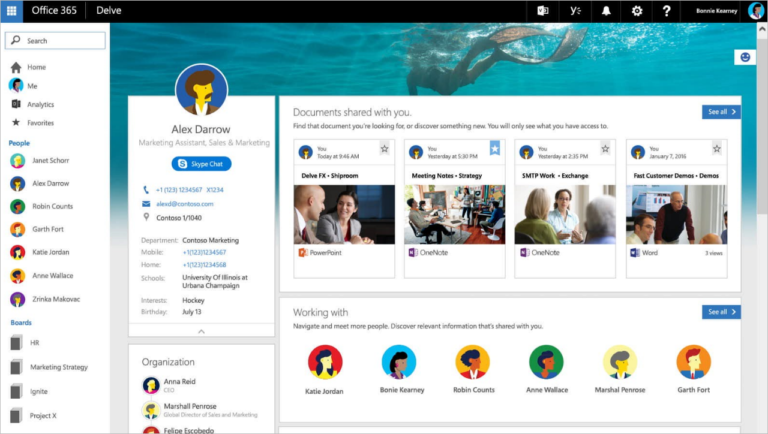 New Profile Cards on Office 365 Tell You Everything about Your Co-workers