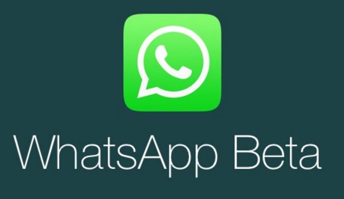 WhatsApp Beta 2.17.93