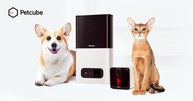 Artificial Intelligence Software to Help Understand Your Pet: Petcube Raises $10 M in Funding
