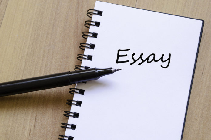 essay writing for college